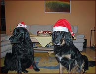 Bianka a Beri před vánocemi