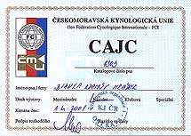 CAJC 1303