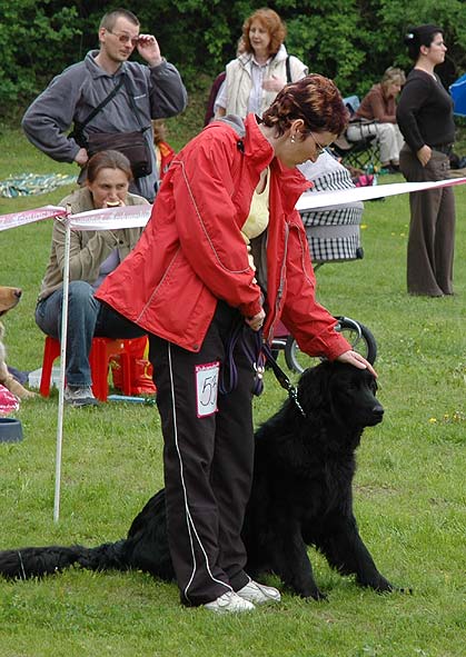 Bery at the dogs show in Krom